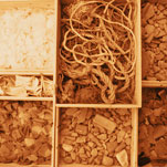 dezaakvanhaak op voorraad